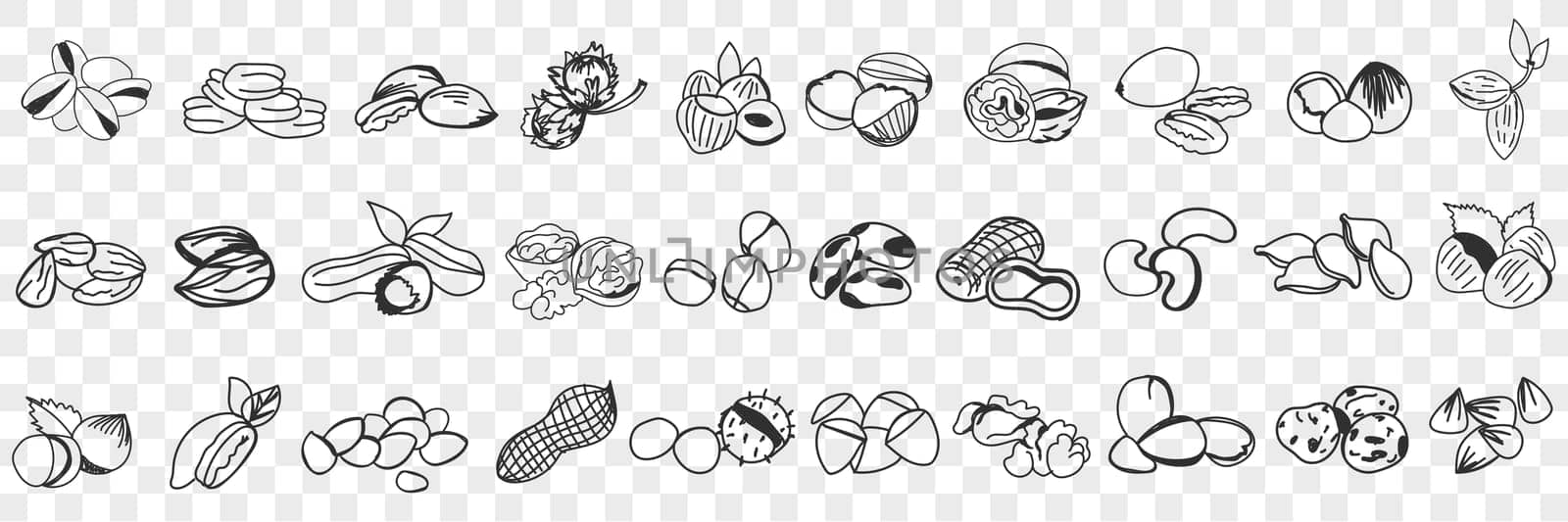 Various edible nut doodle set. Collection of hand drawn hazel, almond, pistachio, peanuts, cashew nuts and macadamia in shell for eating isolated on transparent background. Illustration of tasty snack
