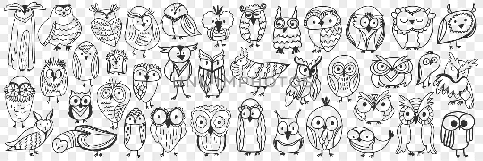 Various owls birds doodle set. Collection of hand drawn cute owls night birds of various shapes and sizes showing faces isolated on transparent background. Illustration of bird type for kids