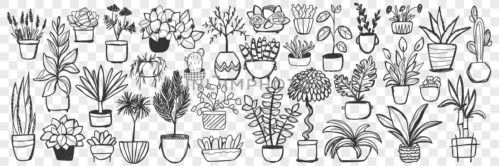 Plants in pots doodle set. Collection of hand drawn homegrown plants and flowers in pots for decoration isolated on transparent background. Illustration of natural botany floral indoor lifestyle