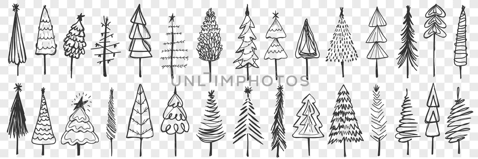 Coniferous trees doodle set. Collection of hand drawn coniferous trees with crowns and trunks traditional for Christmas decoration isolated on transparent background. Illustration of New year symbol