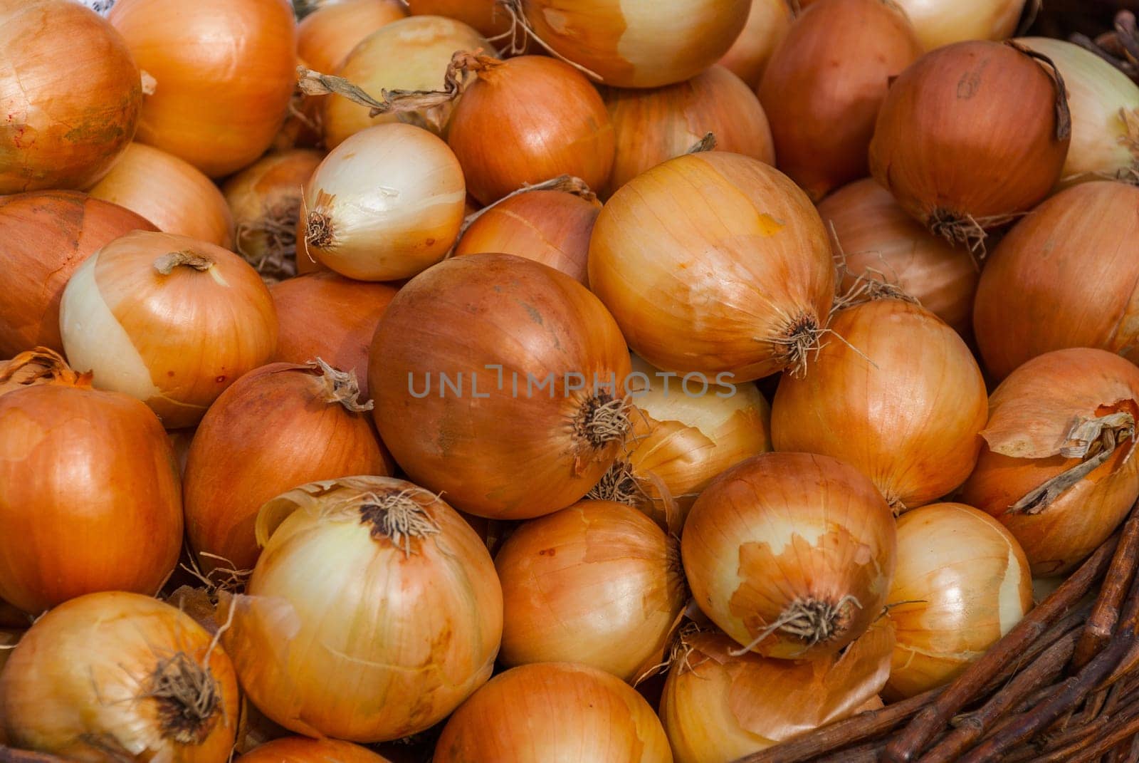 Onion Background