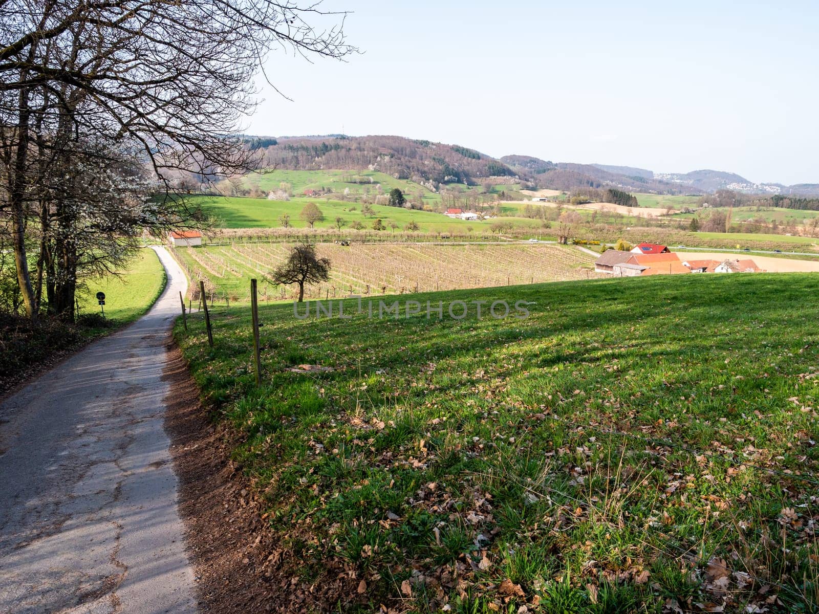 Heppenheim, Odenwald landscape, spring, germany