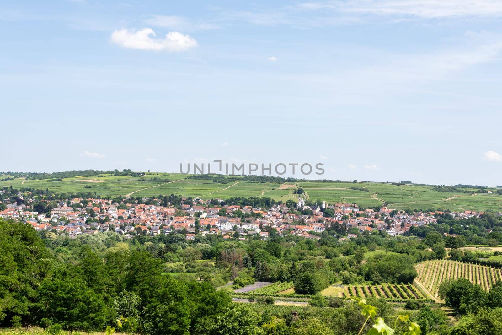 Ingelheim, Rhein, Germany during summertime