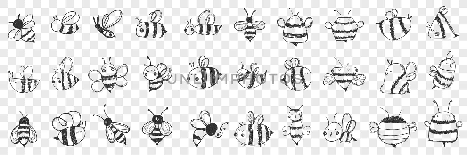 Bees doodle set. Collection of hand drawn various striped bees with wings with different patterns flying isolated on transparent background. Illustration of beautiful insect and honey lover