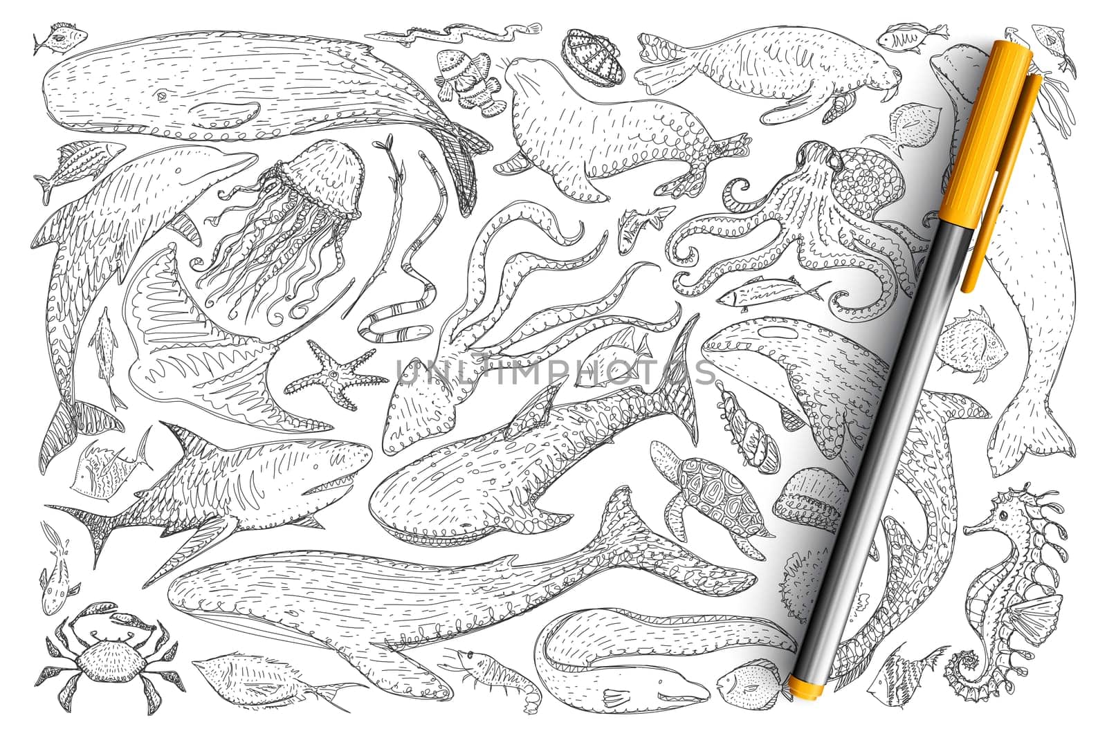 Underwater world animals doodle set. Collection of hand drawn dolphins, crabs, octopus, fur seal, fishes, jellyfish, starfish sea horse isolated on transparent background. Illustration of sea world