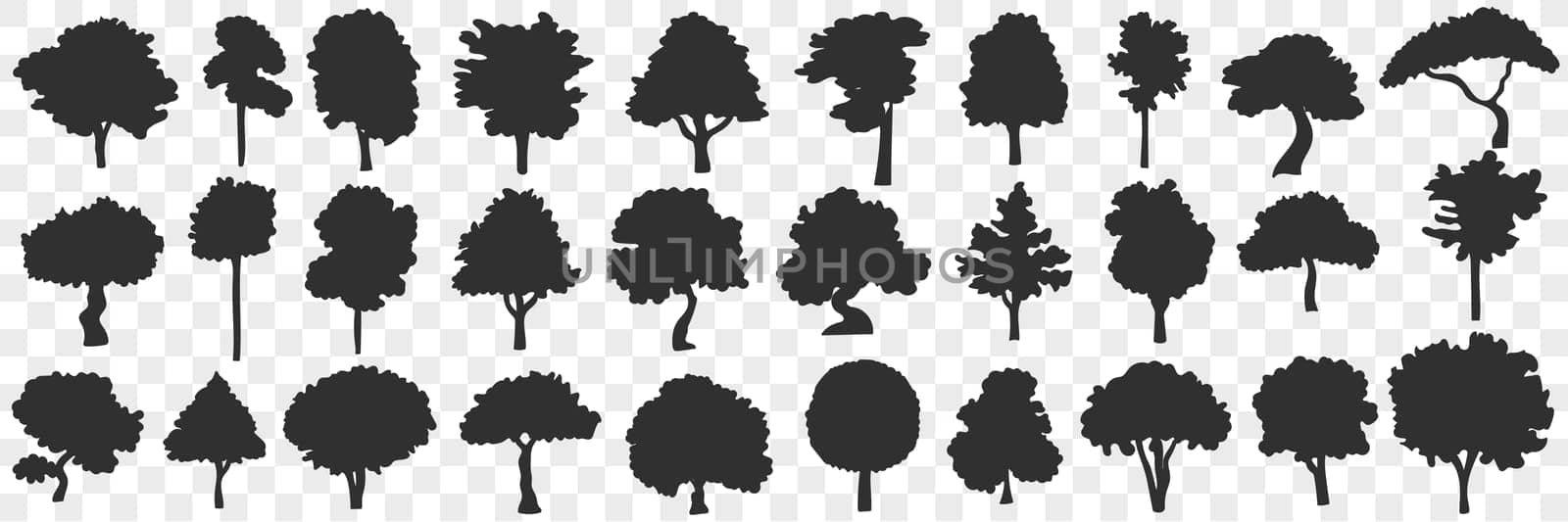 Silhouettes of trees doodle set. Collection of hand drawn black silhouettes of various blooming trees nature in rows isolated on transparent background