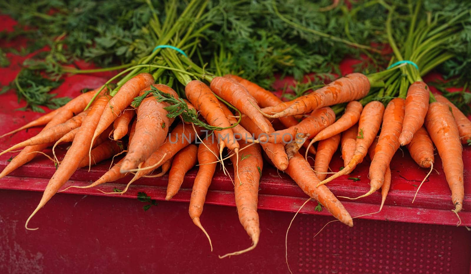 Fresh ripe carrots displayed on street food market.