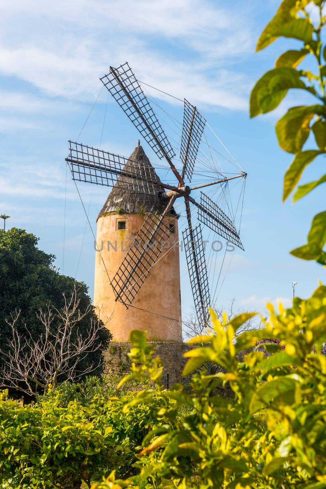 Typical wind mill, Majorca