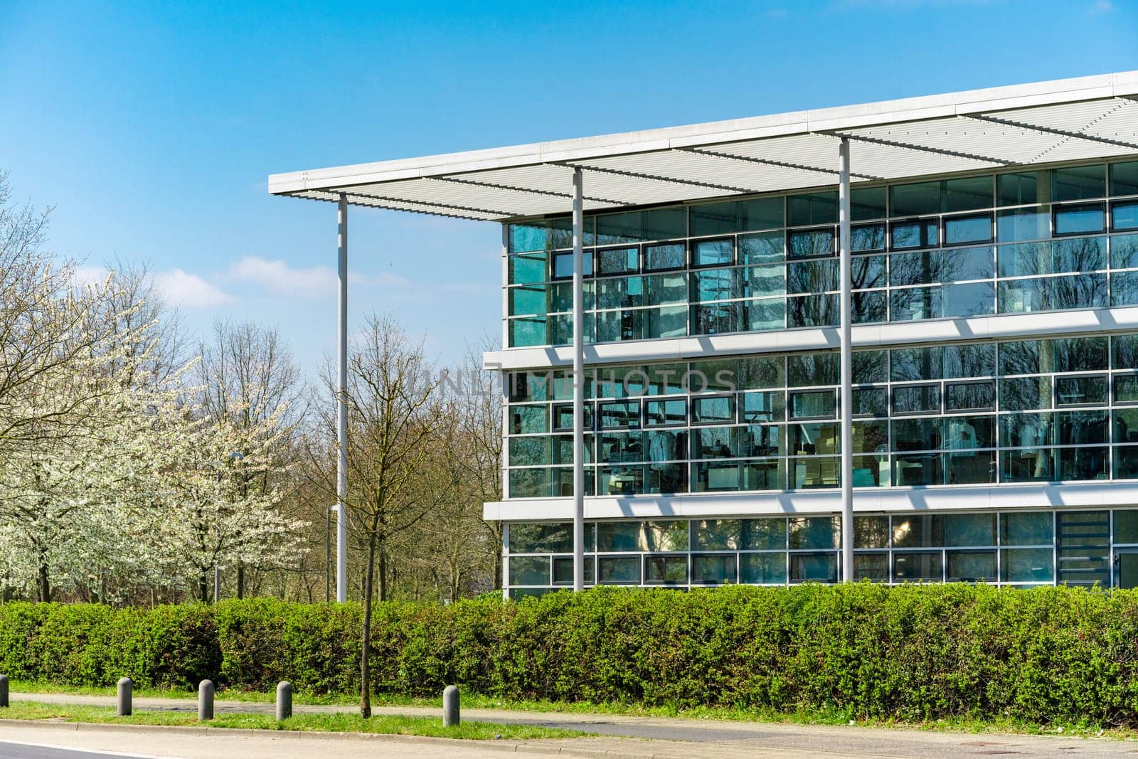 glass office building. green city.