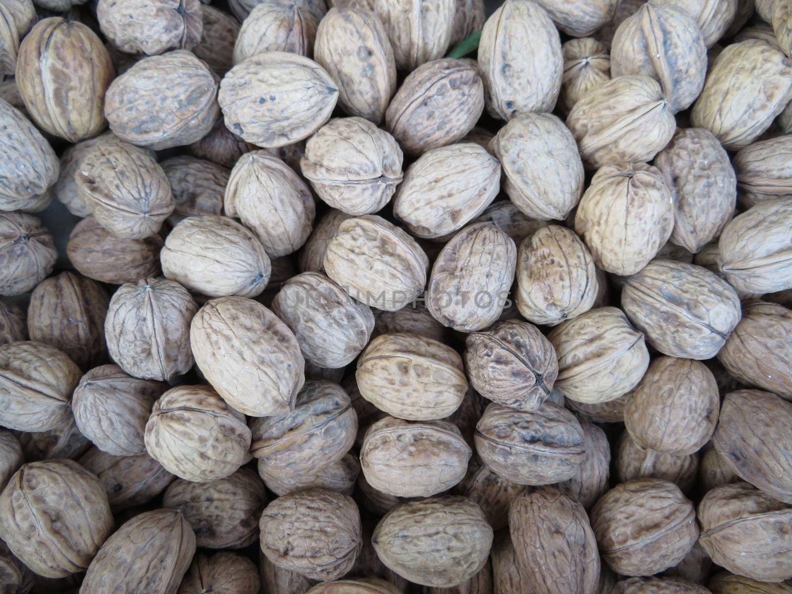 delicious hard nutshell healthy dry fruit natural diet