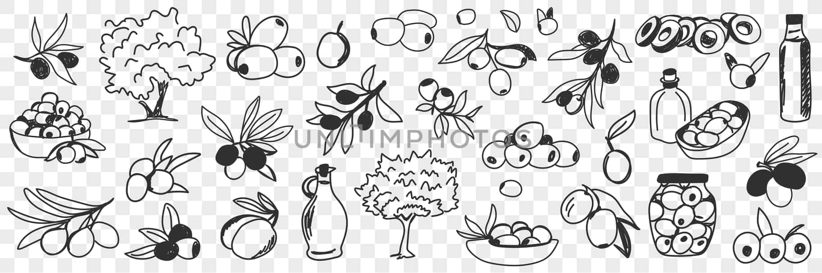 Olive oil production doodle set. Collection of hand drawn various olive trees fruits oil bottles and jars for eating and cooking in rows isolated on transparent background