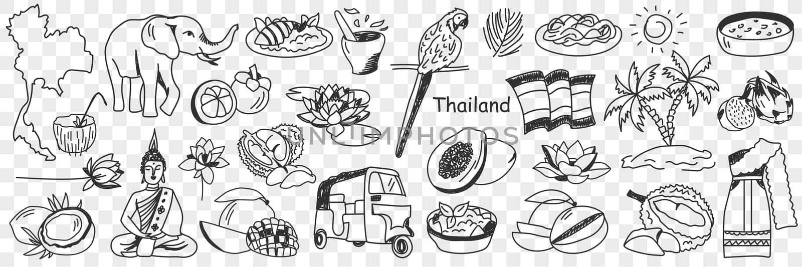 Thailand cultural symbols doodle set. Collection of hand drawn various thai signs elephant parrot bus tourist papaya palm tree sun beach sea map cocktail costume isolated on transparent background