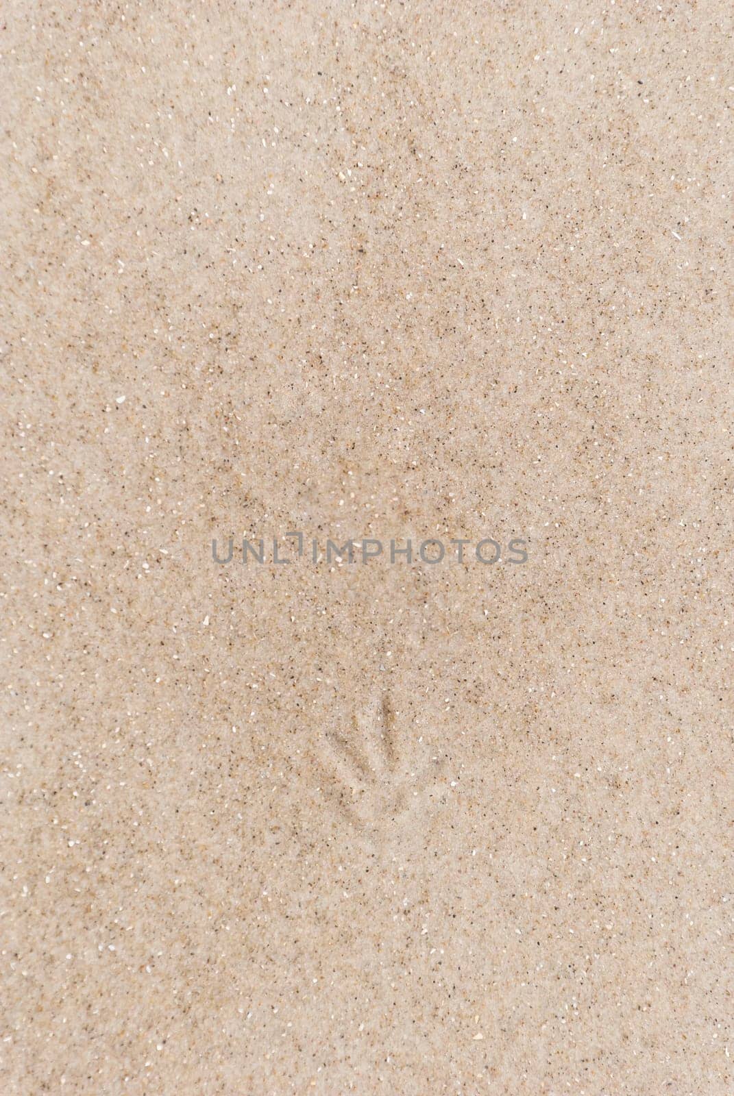 Sand waves background/ texture, north sea