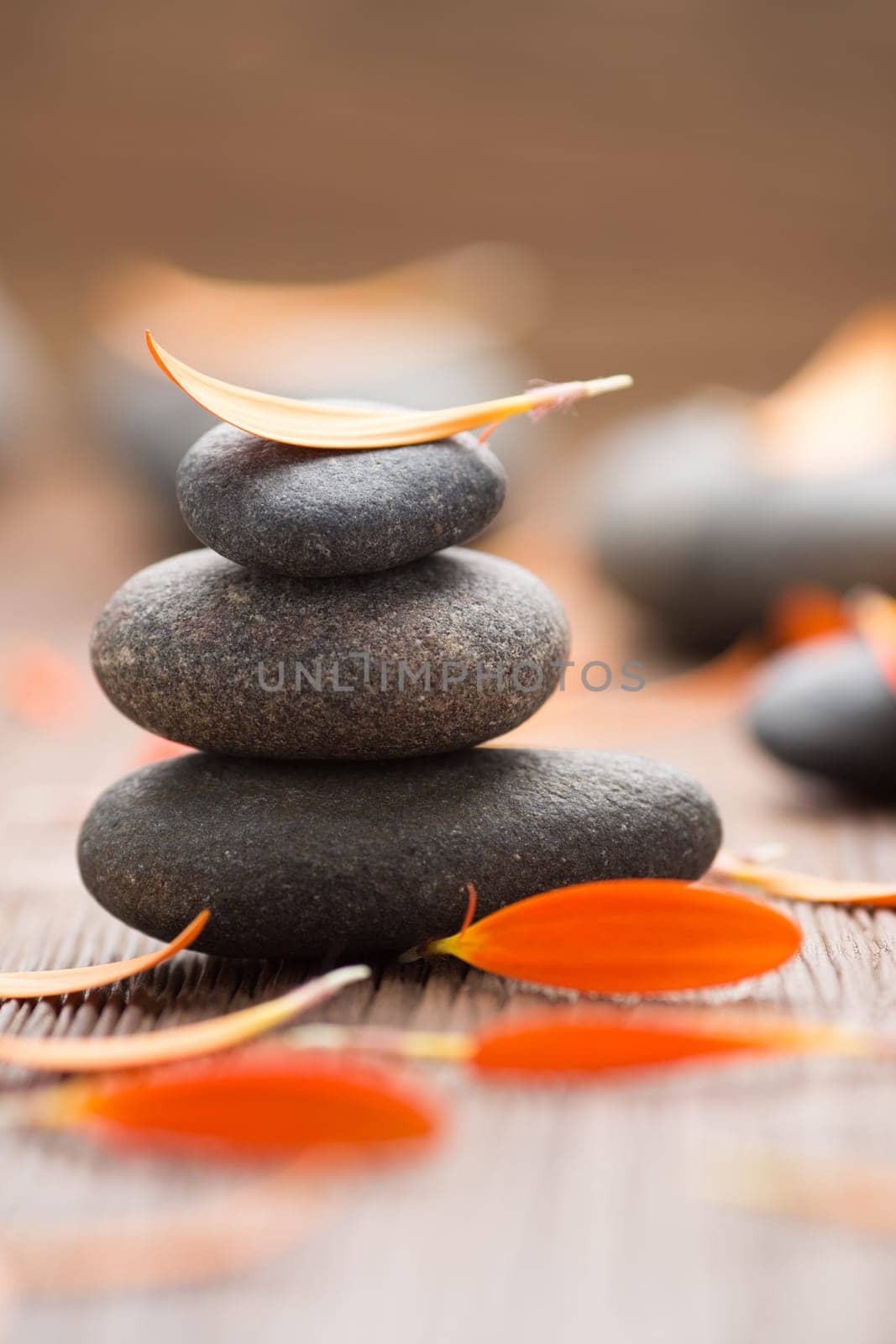 Gerbera flower petals and spa stones, wooden background.