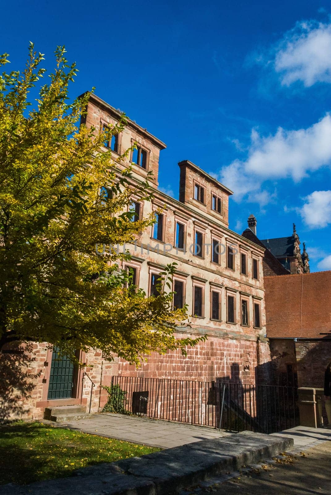 Castle of Heidelberg