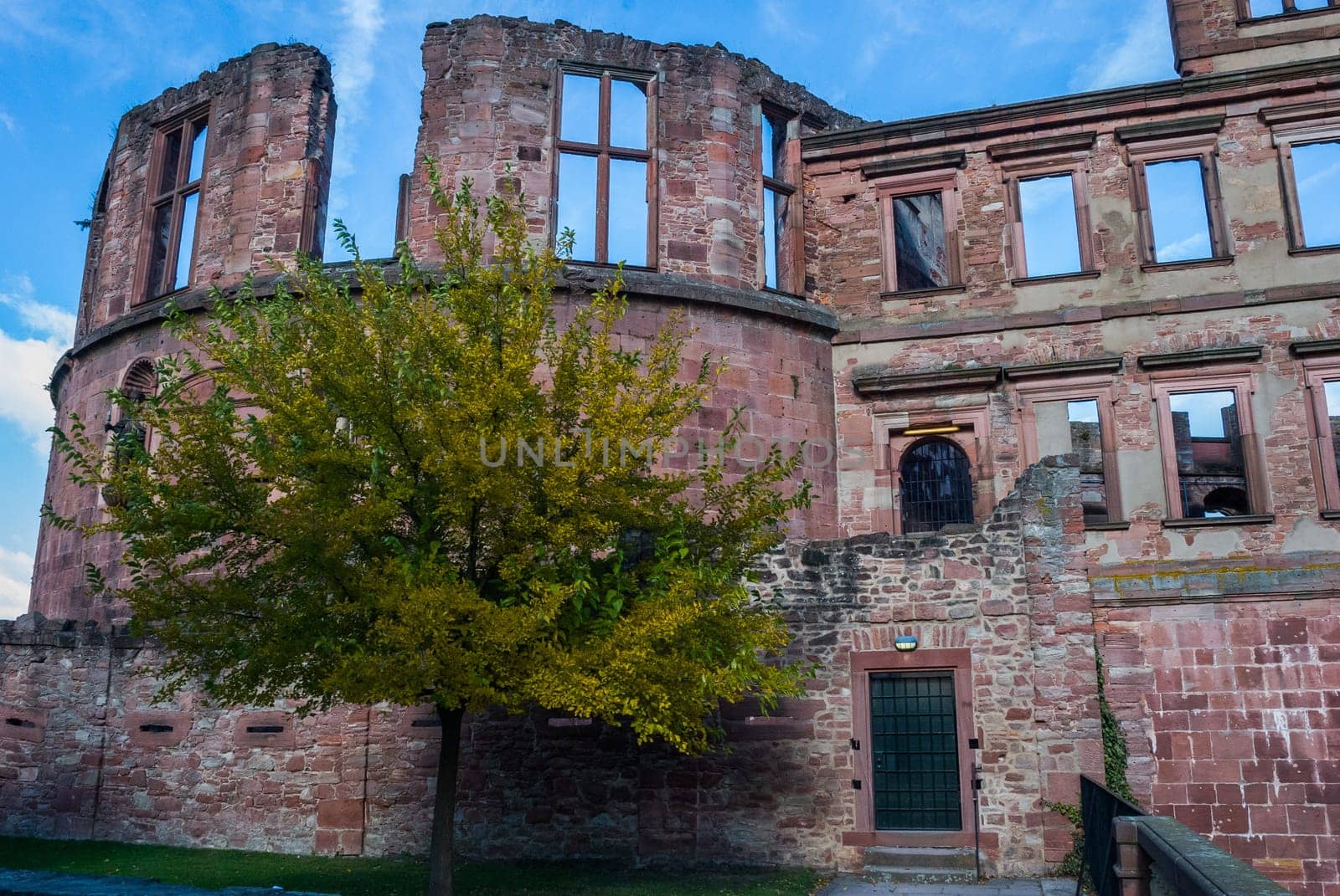 Castle of Heidelberg