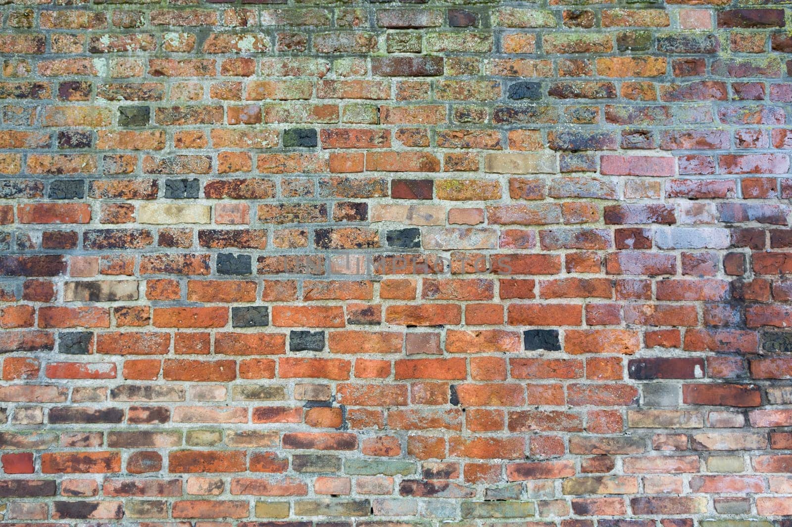 Brickwall Background