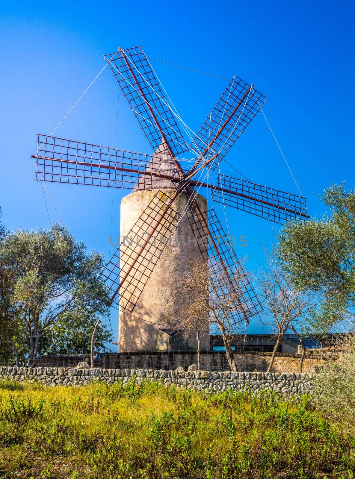 Typical wind mill, Majorca