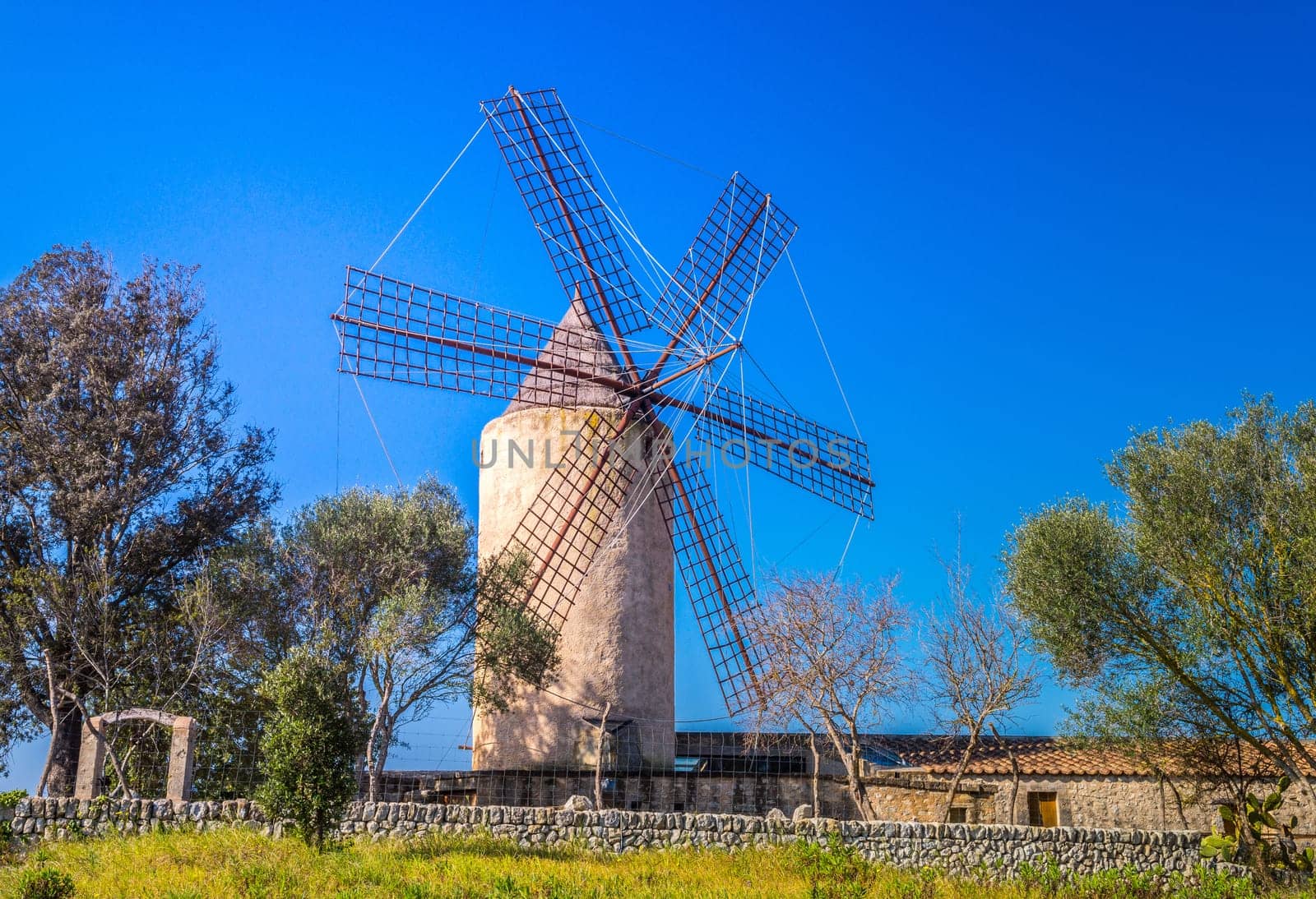 Typical wind mill, Majorca