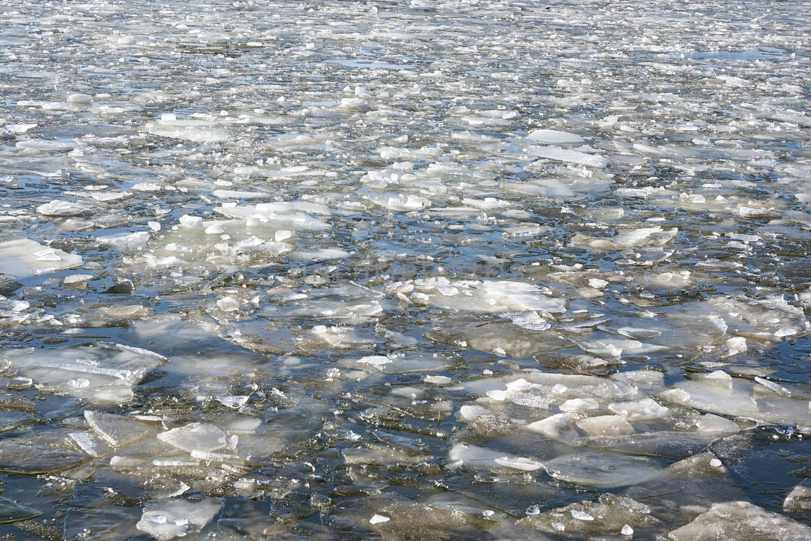 Ice floes on the river Elbe near Magdeburg on a cold winter day