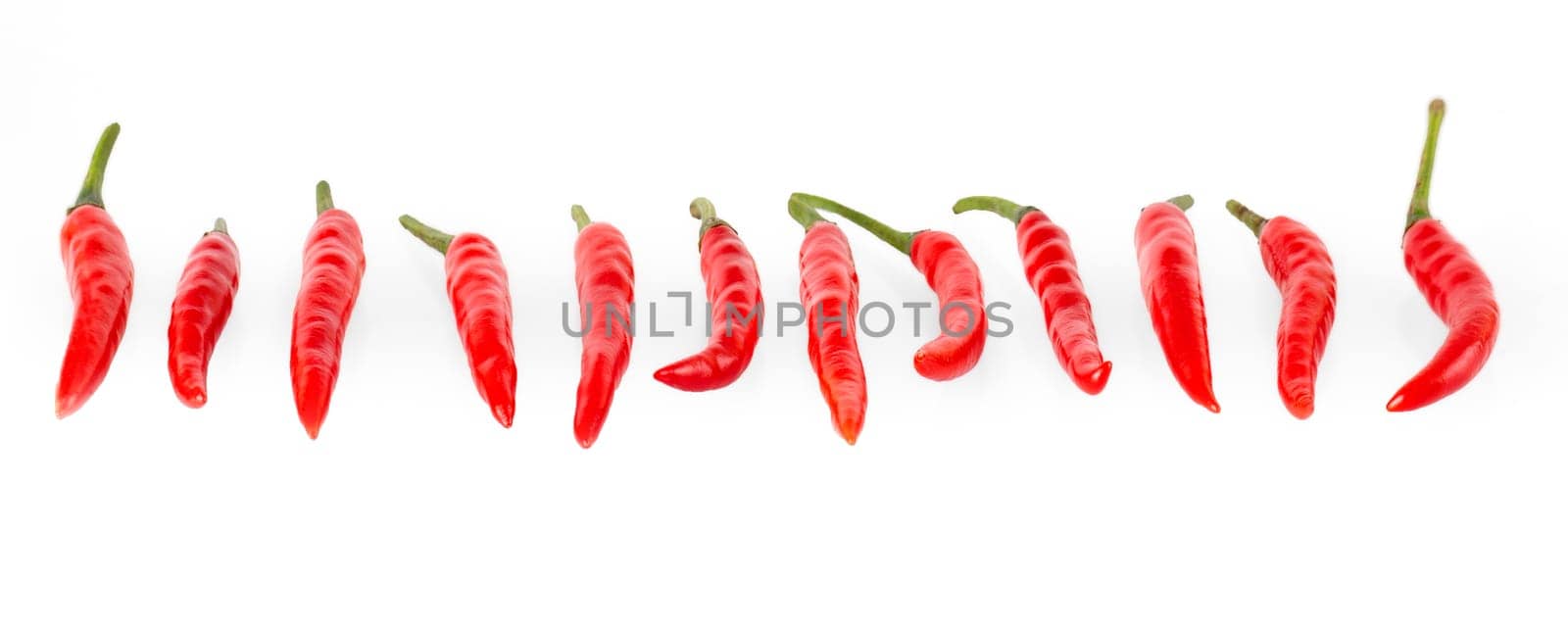 The close up row line composition chilli red peppers isolated on white background
