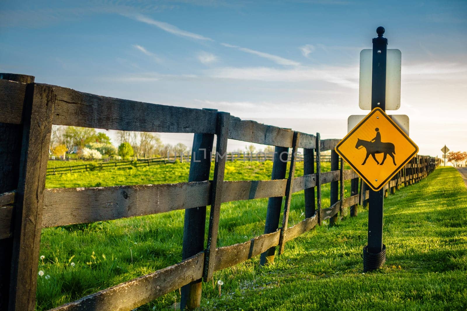 Equestrian crossing road sign by a horse farm in Central Kentucky