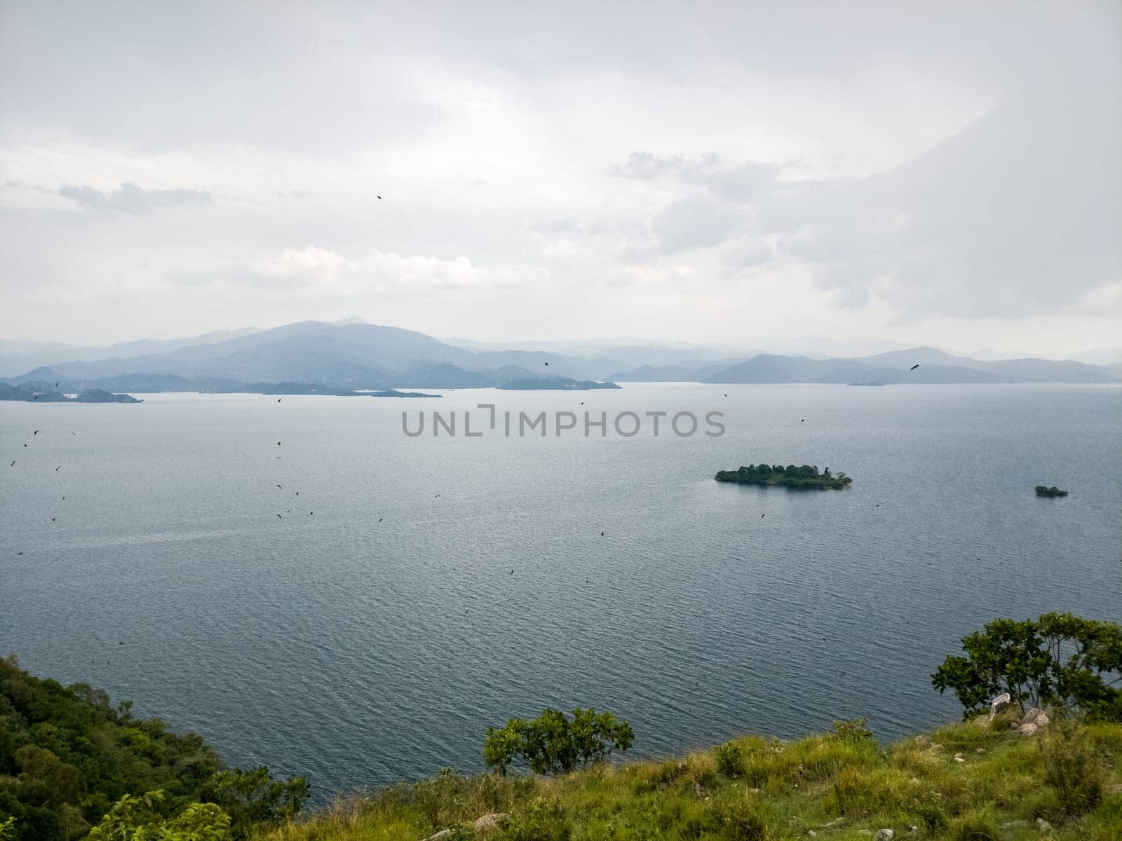 Flying dogs Island, Lake Kivu - Ruanda, africa