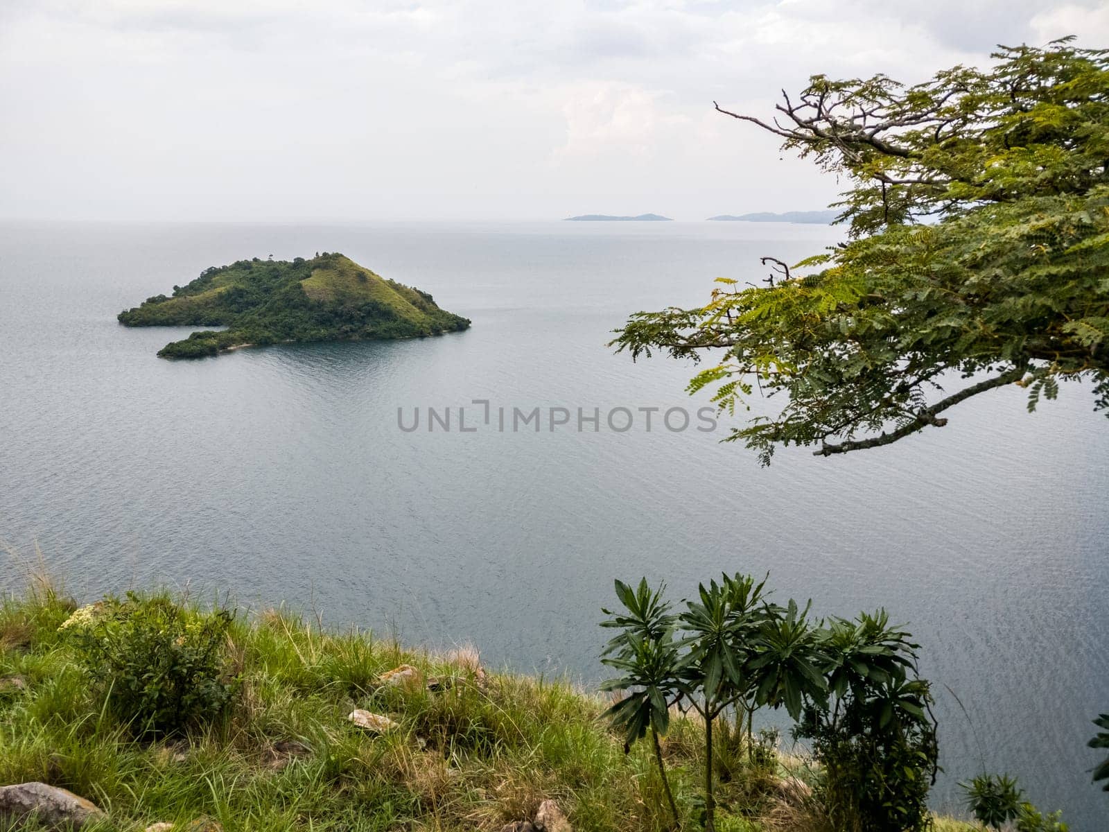 Flying dogs Island, Lake Kivu - Ruanda, africa