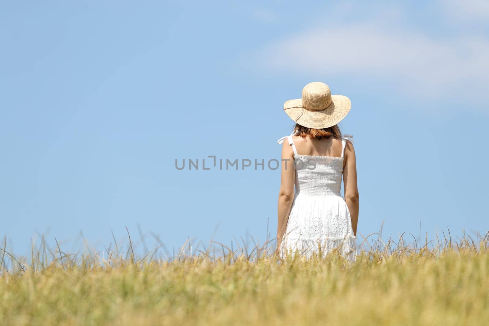 Back view of a woman walking across a wheat field