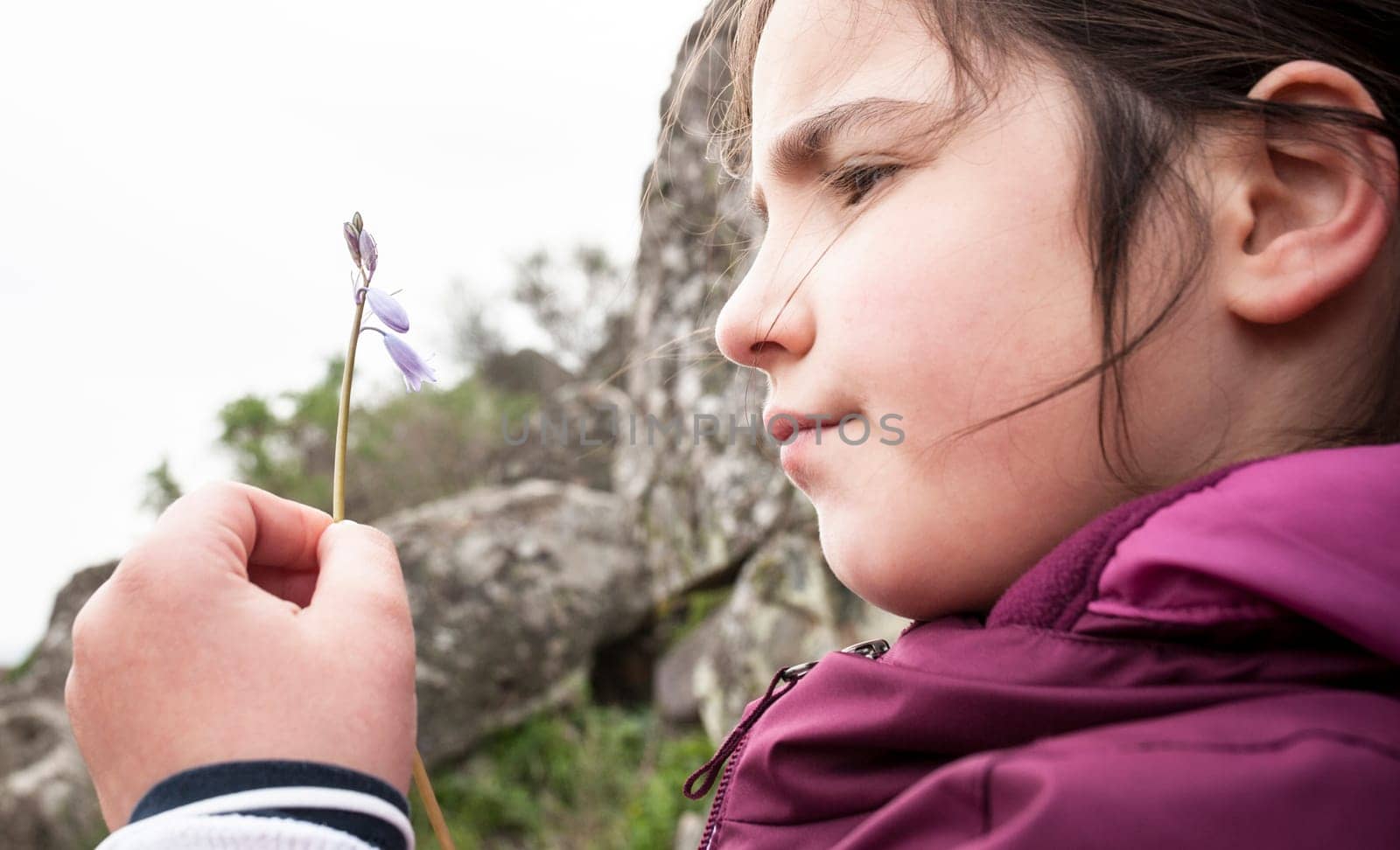Child girl observing little wild flower. Botany for inquisitive children concept