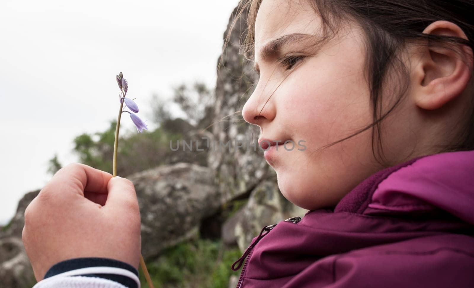 Child girl observing little wild flower. Botany for inquisitive children concept