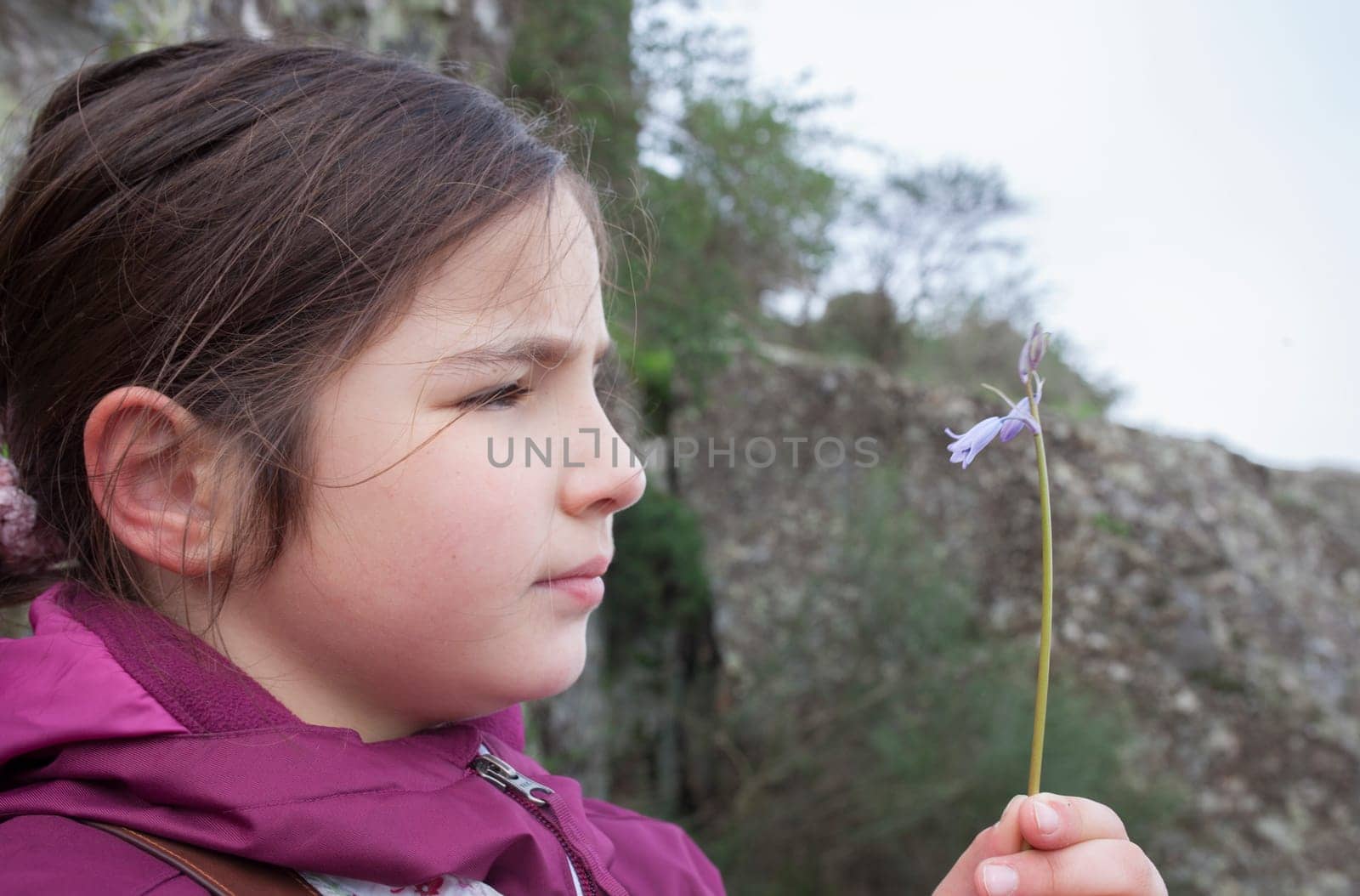 Child girl observing little wild flower. Botany for inquisitive children concept