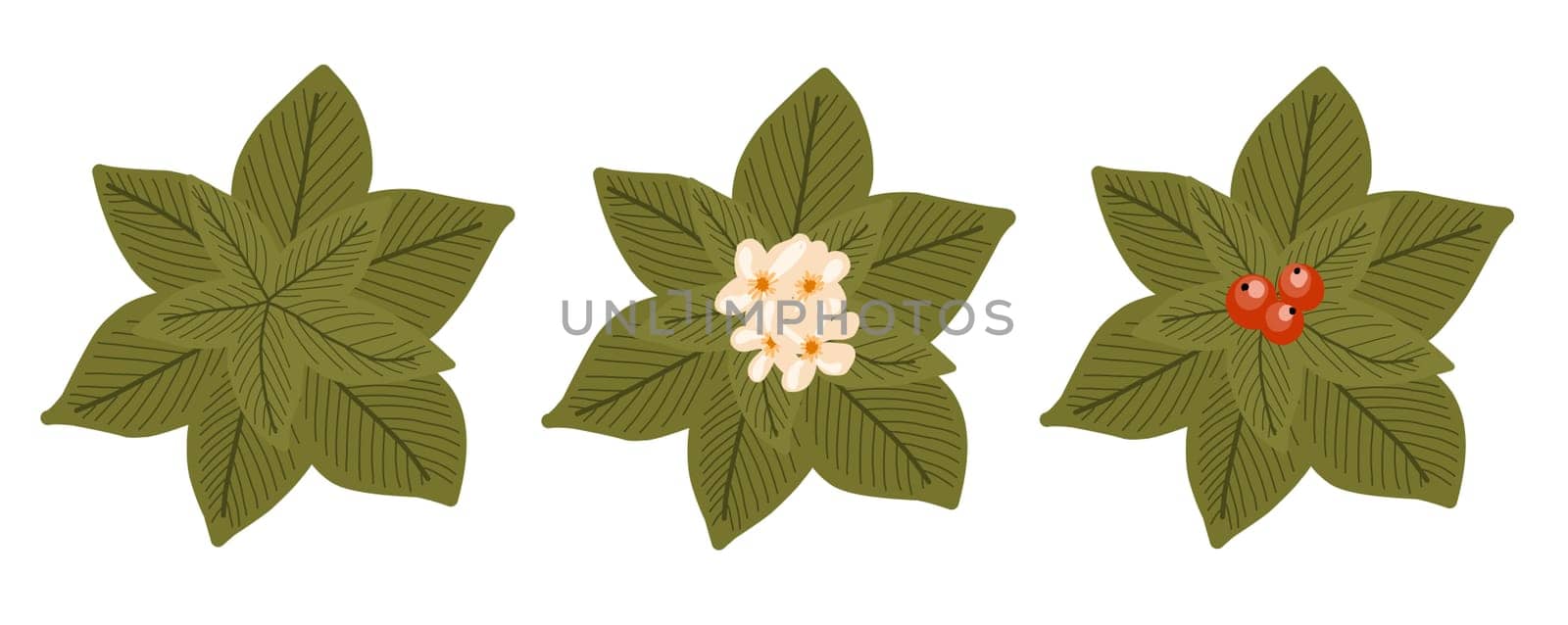 Botanical elements for a landscape plan. Landscaping constructor. Plants top view isolated on white background. Vector illustration.