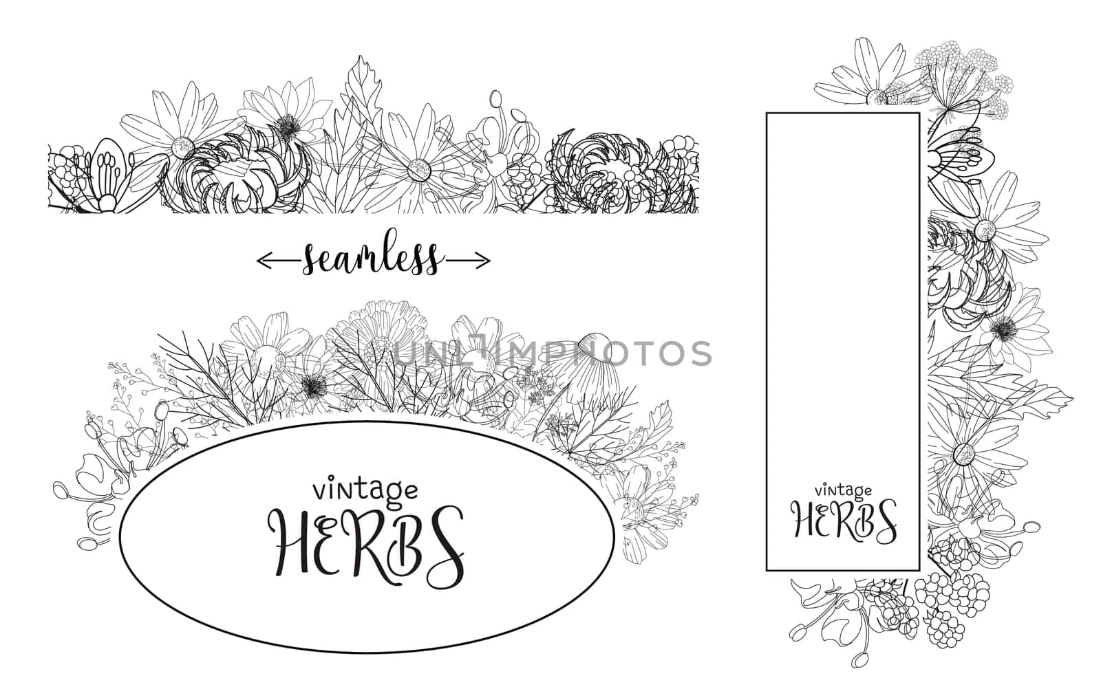 Template card with medicinal herbs. vector template. Wild medicinal plants. Retro flowers. Hand drawing illustration. Engraving style. Botanical illustration. Pharmacy herbs labels. Fresh local organi