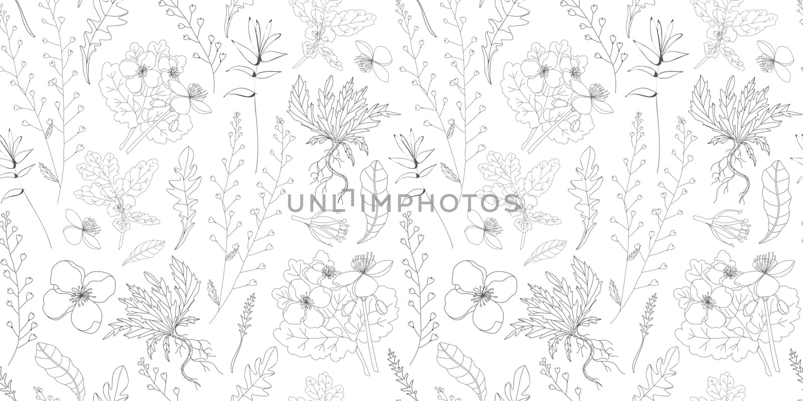 Simple delicate floral pattern. Thin lines. Summer fabric, textile and packaging design. Medicinal herbs and wildflowers. Vintage herbs. Vector botanical illustration.