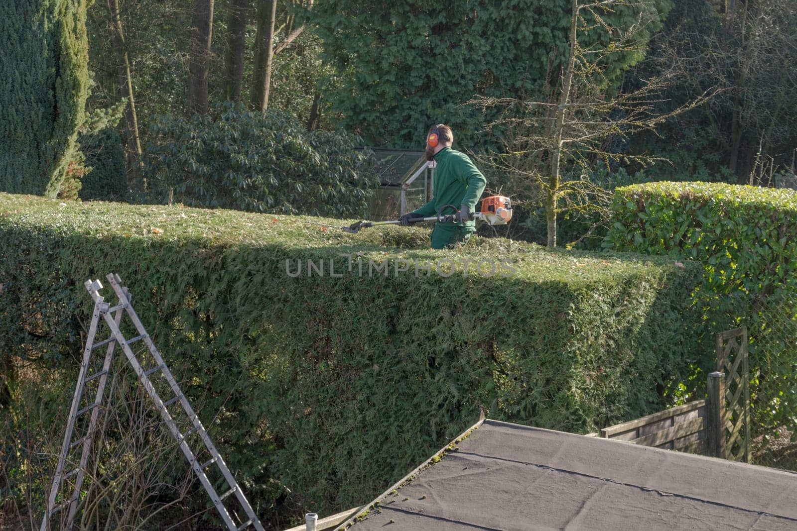 Pruning bushes in the garden. Autumn gardening..