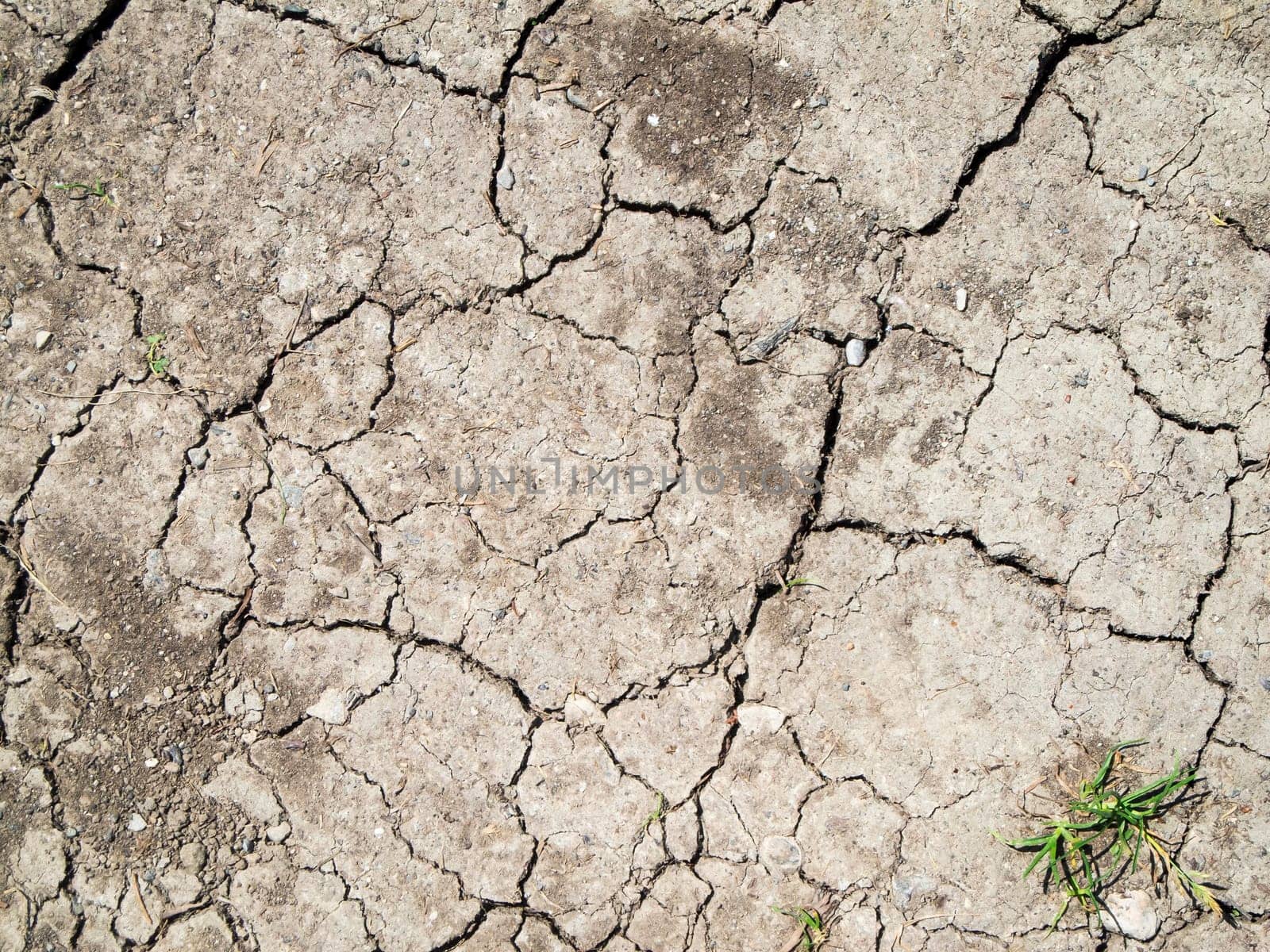 Full framed view of parched, cracked earth with individual small pebbles and a single small grass plant.