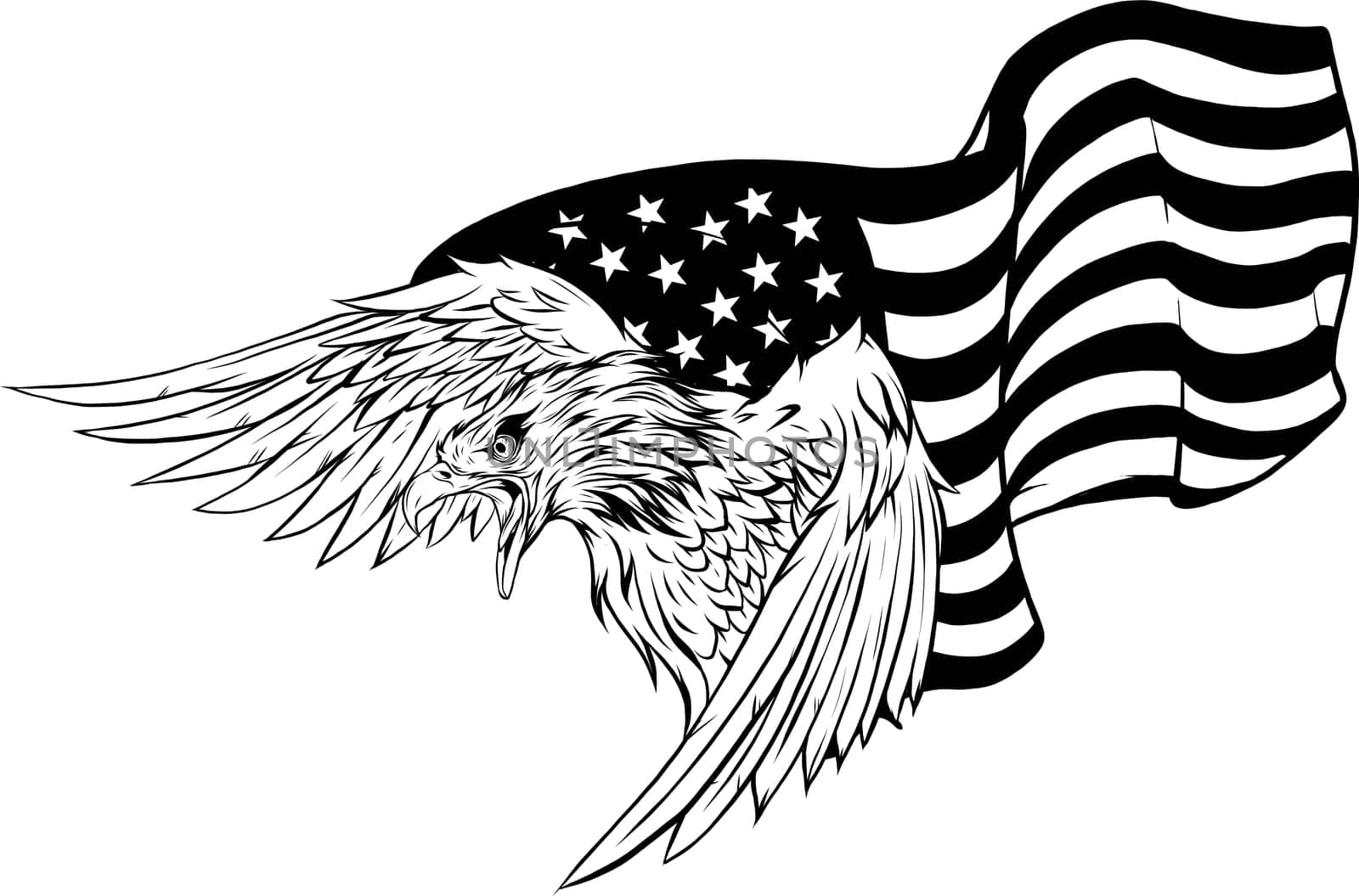 illustation American eagle against USA flag and white background.
