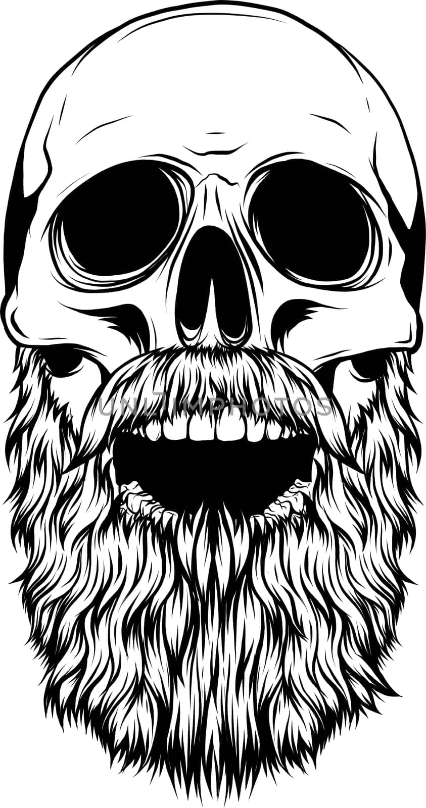 Bearded skull vector illustration design