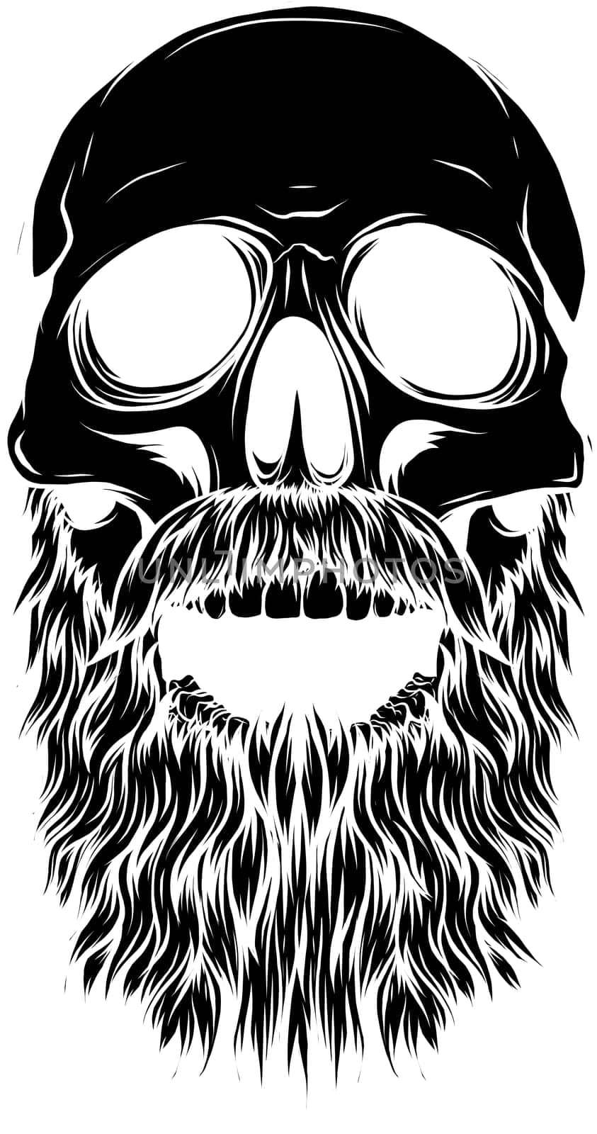 Bald, bearded hipster skull vector