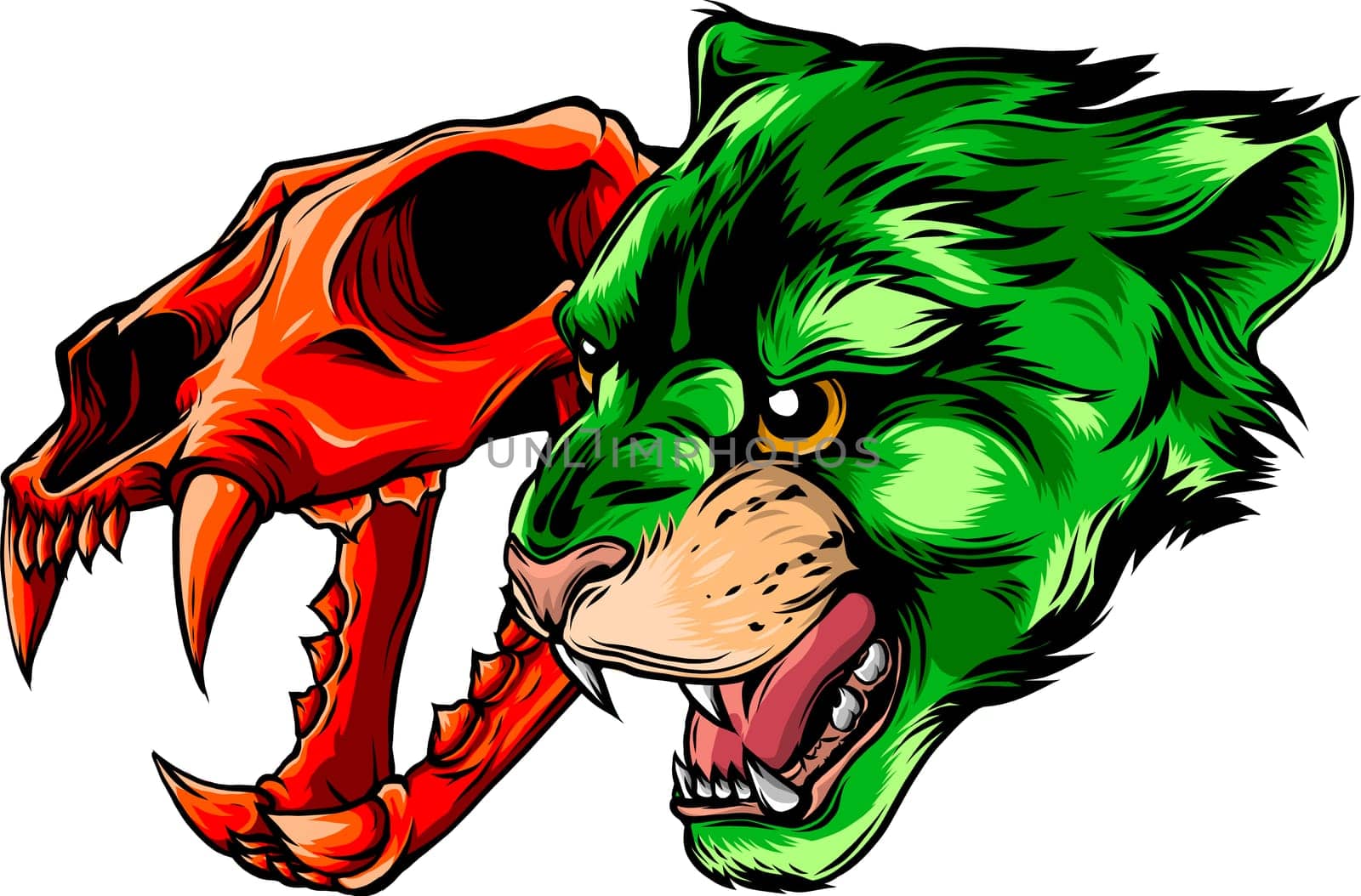 Cougar Panther Head with skull Vector