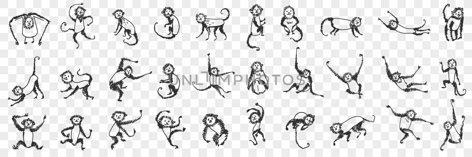 Monkeys enjoying life doodle set. Collection of hand drawn monkey animals primate playing hanging on branches and trees eating sleeping feeling happy for children isolated on transparent background