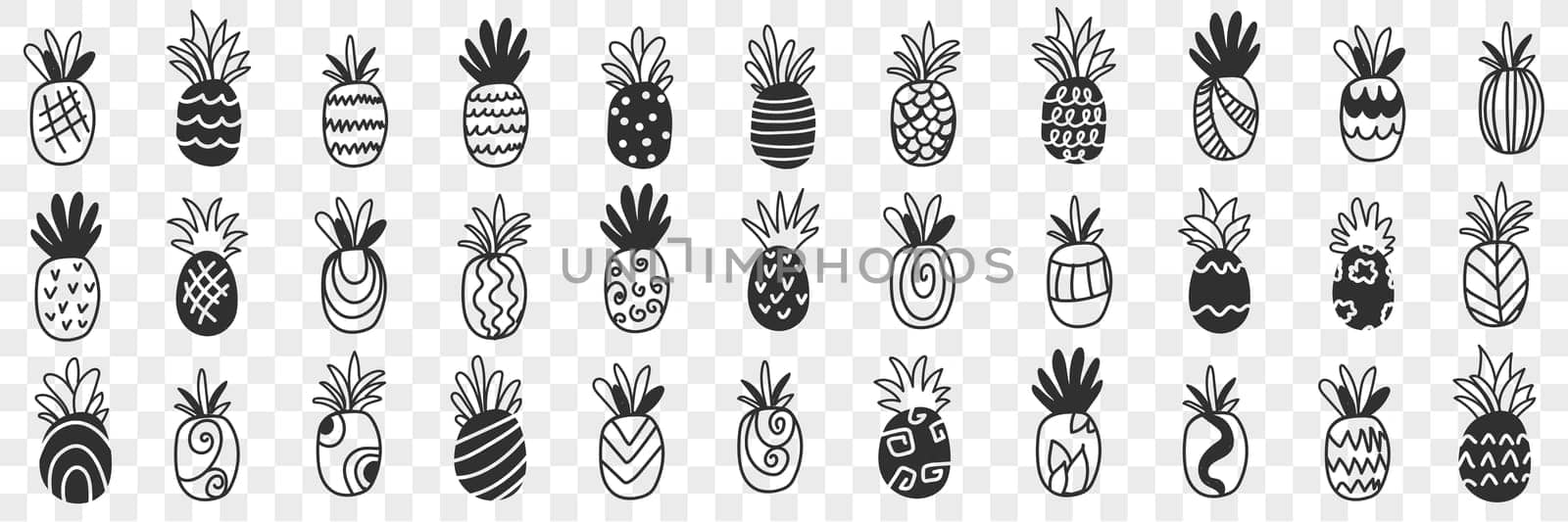Tropical pineapple fruits doodle set. Collection of hand drawn fresh ripe exotic fries pineapples tasty delicious sweet for diet clean eating weight loss food isolated on transparent background
