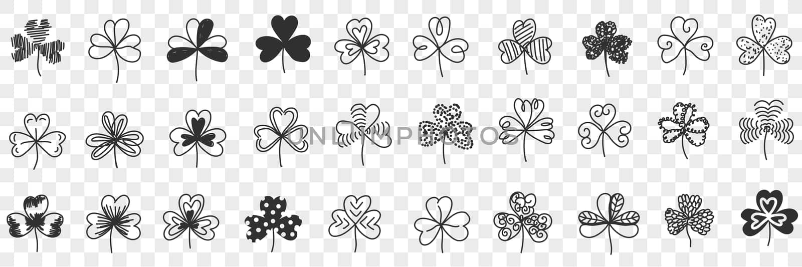 Clover plant pattern doodle set. Collection of hand drawn natural clover plants of various pattens in rows decoration isolated on transparent background