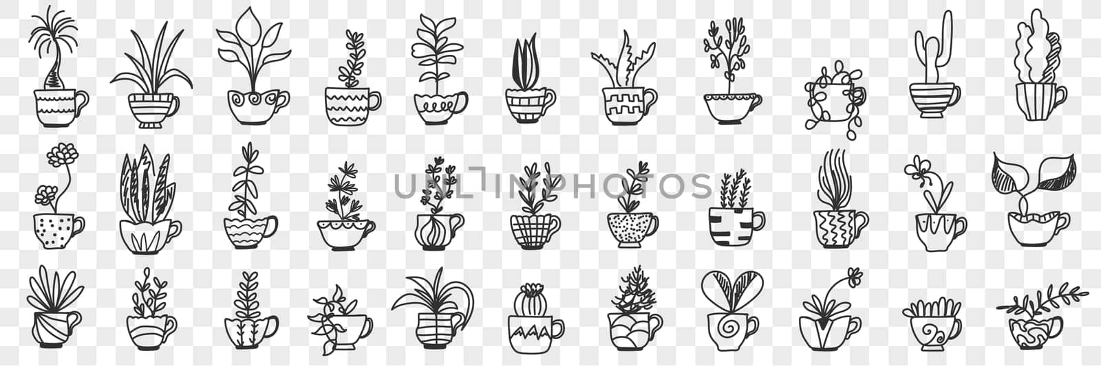 Plants in pots doodle set. Collection of hand drawn various homegrown pants and flowers in pots for home interior decoration isolated on transparent background