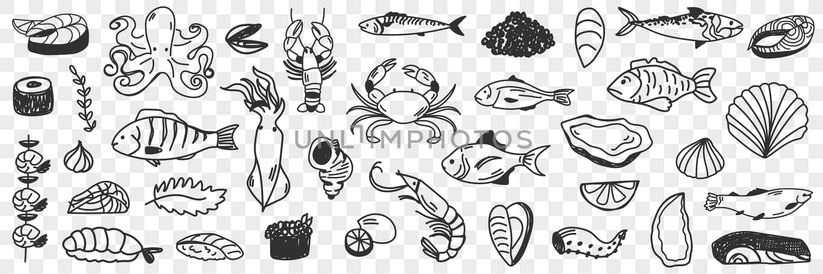 Seafood and fish doodle set. Collection of hand drawn crab shrimp prawn octopus shells caviar squid various fish for making dishes and sushi isolated on transparent background