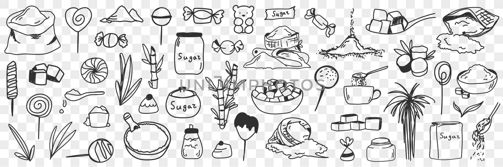 Sugar and ingredients for candies doodle set. Collection of hand drawn edible sweet sugar flour plants for making cooking candies or sweets desserts isolated on transparent background