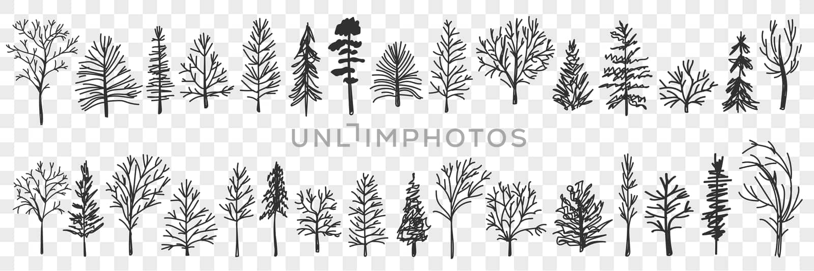 Silhouettes of trees pattern doodle set. Collection of hand drawn various black trees silhouettes in forests or parks natural pattern isolated on transparent background