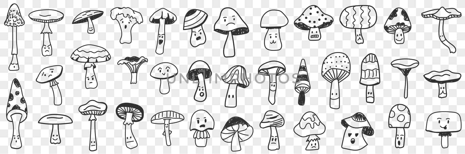 Edible and inedible mushroom doodle set. Collection of hand drawn edible and inedible mushrooms types growing in forest for picking isolated on transparent background