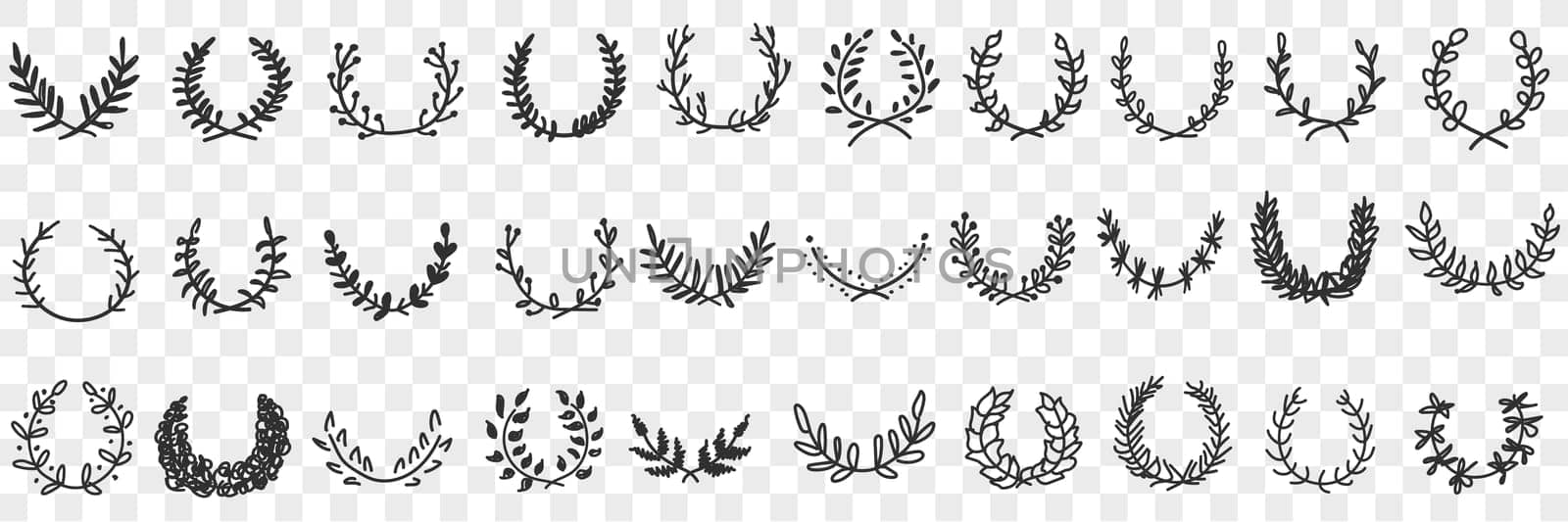 Natural leaves ornament and wreath doodle set. Collection of hand drawn elegant natural semicircle patterns wreaths ornaments for awards or interior decorations isolated on transparent background